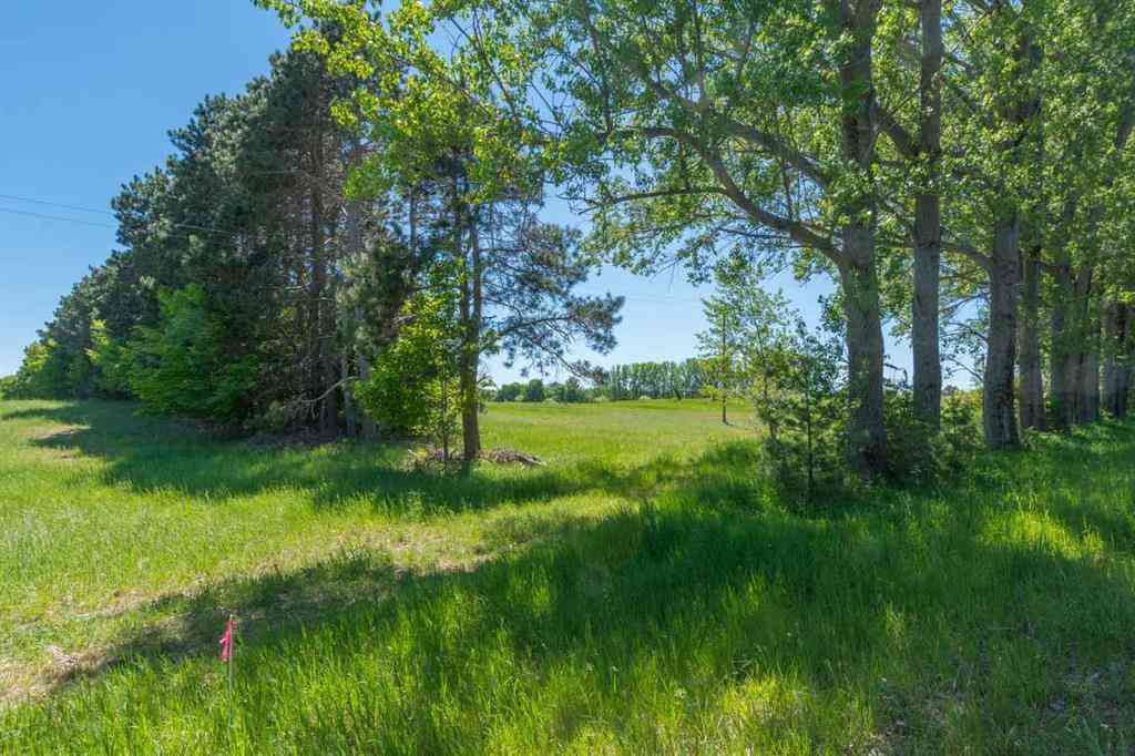 Vacant Land For Sale - 0000 W Ryant Road <br/> Maple City, MI 49664
