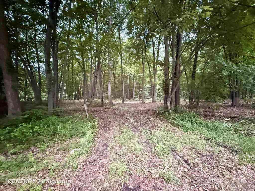 Vacant Land For Sale - Seymour Road <br/> Saginaw County, Burt, MI 48417