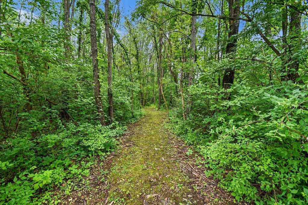 Vacant Land For Sale - V/L Forest Shores Drive <br/> Cassopolis, MI 49031