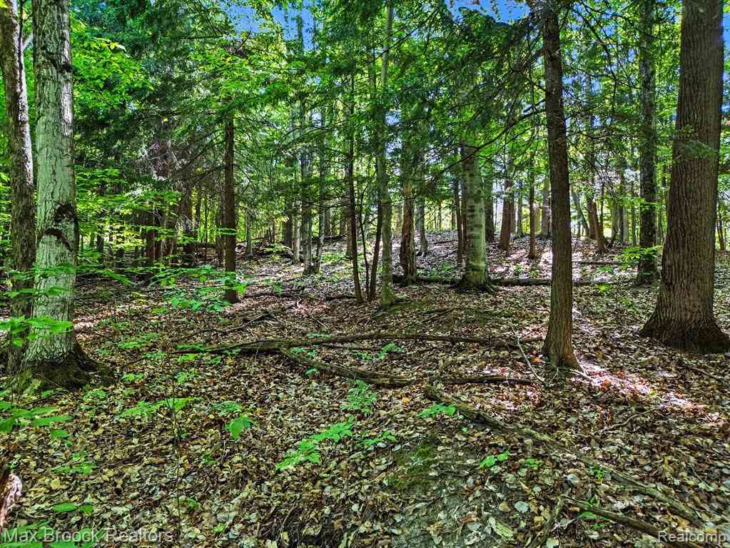 Vacant Land For Sale - 125 Legend Trail  <br/> Bellaire, MI 49615