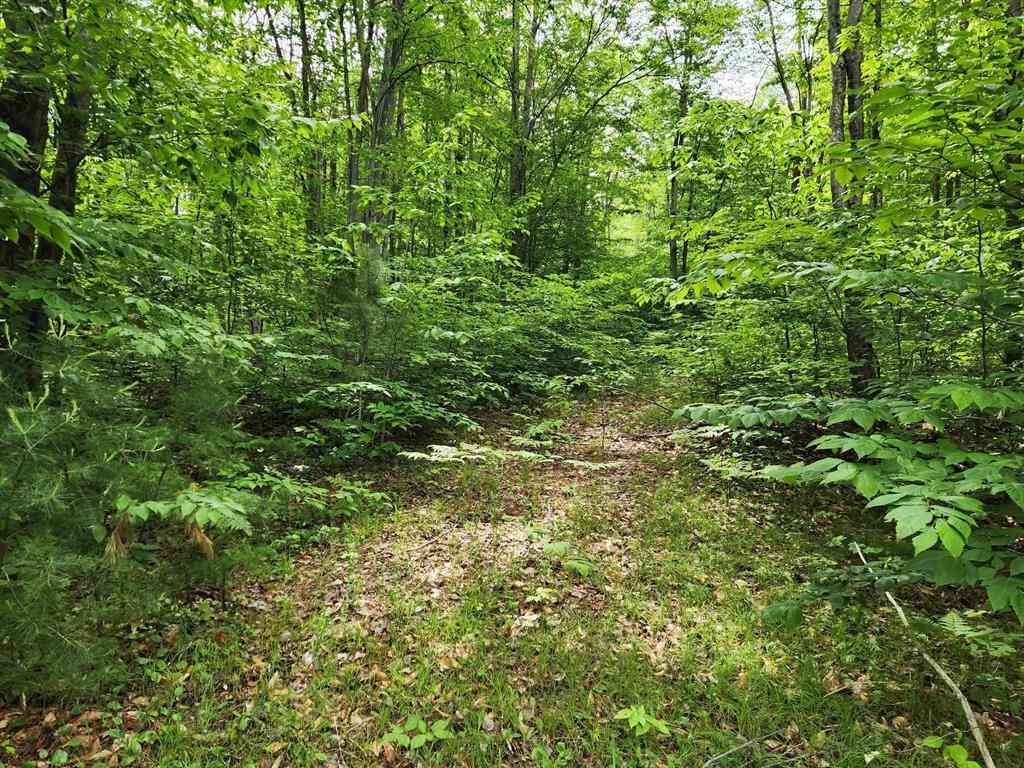 Vacant Land For Sale - 10 ACRES Blue Lake Road, Ne  <br/> Kalkaska, MI 49646