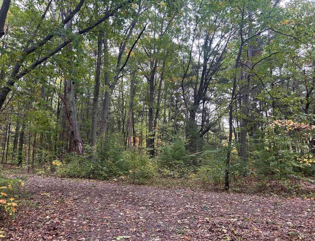 Vacant Land For Sale - 4051 Highview Path <br/> Coloma, MI 49038