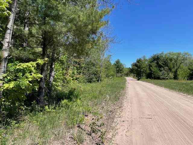 Vacant Land For Sale - 00 Aylsworth Road <br/> Beulah, MI 49617