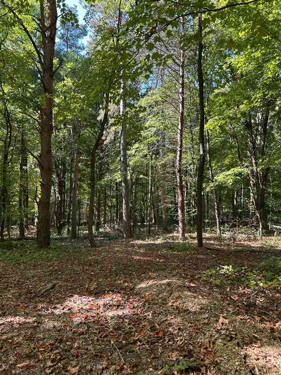 Vacant Land For Sale - 8980 Sailor Drive Se SE<br/> Byron Center, MI 49315