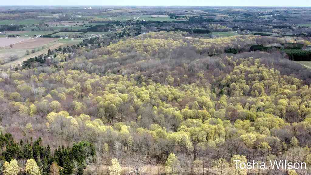 Vacant Land For Sale - 234 180th Avenue <br/> Hersey, MI 49639