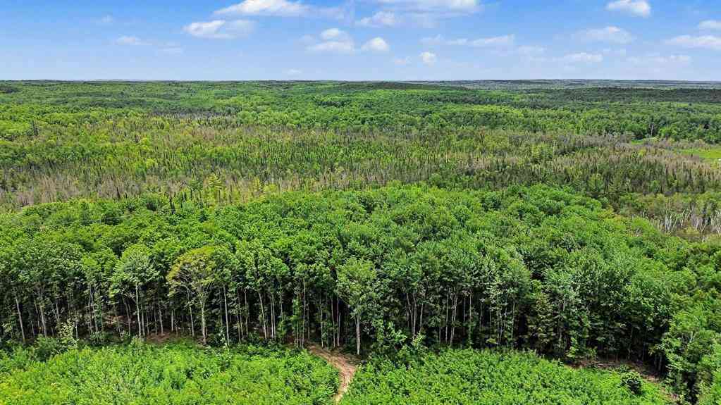 Vacant Land For Sale - V/L Third Road <br/> Kalkaska, MI 49646