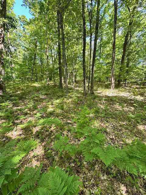 Vacant Land For Sale - 15 Mile Road <br/> Big Rapids, MI 49307
