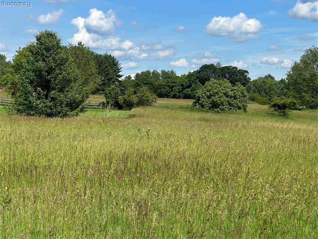 Vacant Land For Sale - C Musson Road <br/> Howell, MI 48855