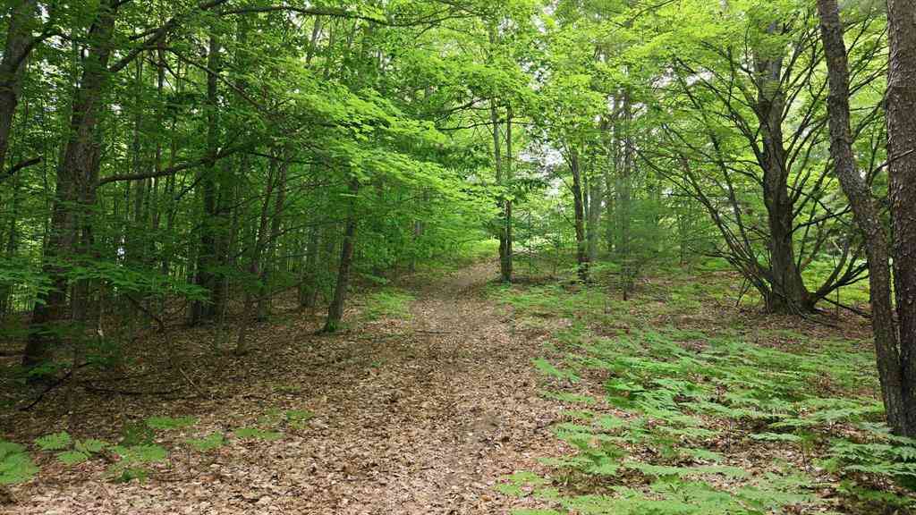 Vacant Land For Sale - 3982 SE Mitchell Road <br/> Kalkaska County, Kalkaska, MI 49646