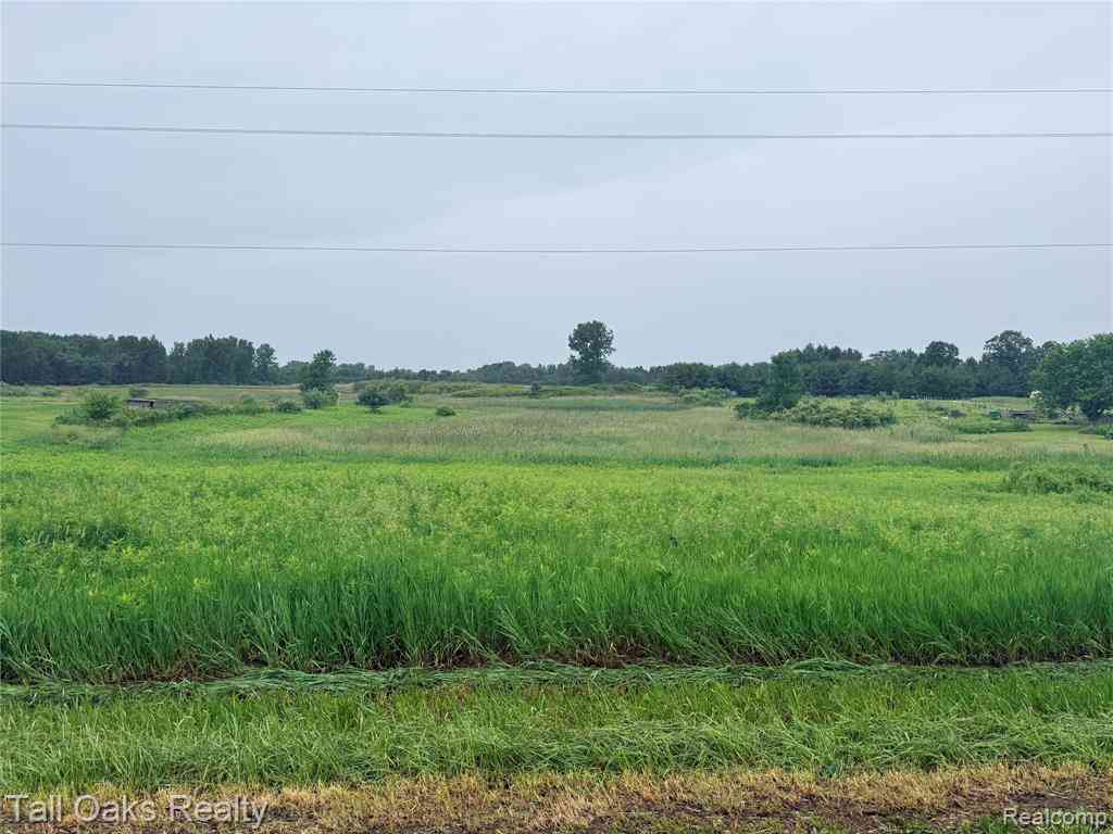 Vacant Land For Sale - 761 Millington Road <br/> Mayville, MI 48744