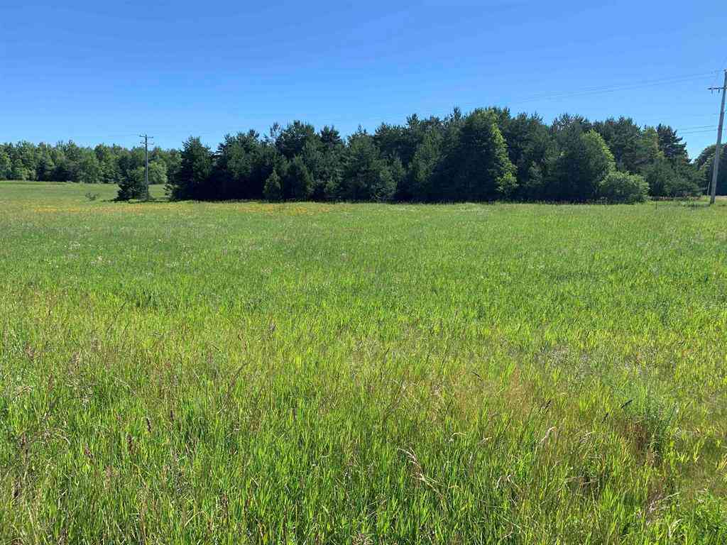 Vacant Land For Sale - M-37  <br/> Buckley, MI 49620