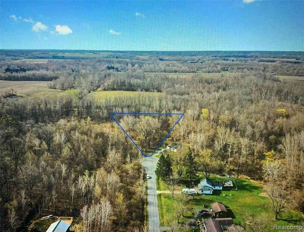 Vacant Land For Sale - 000 Springdale  <br/> Van Buren County, Hartford, MI 49057