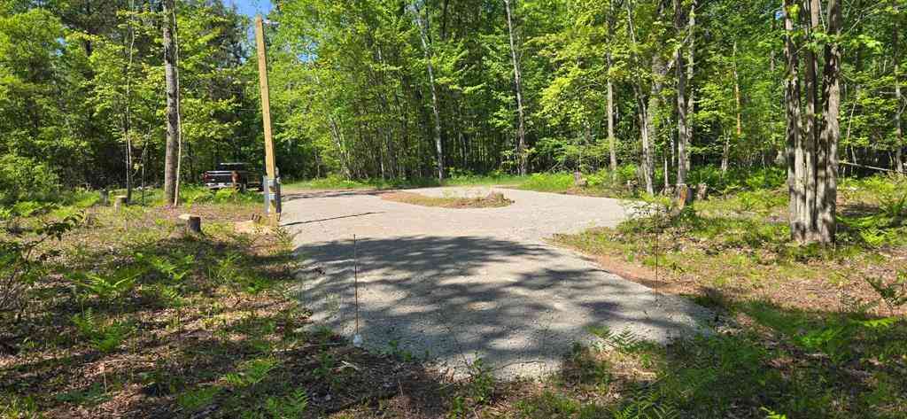 Vacant Land For Sale - Thomas Street <br/> Prescott, MI 48756