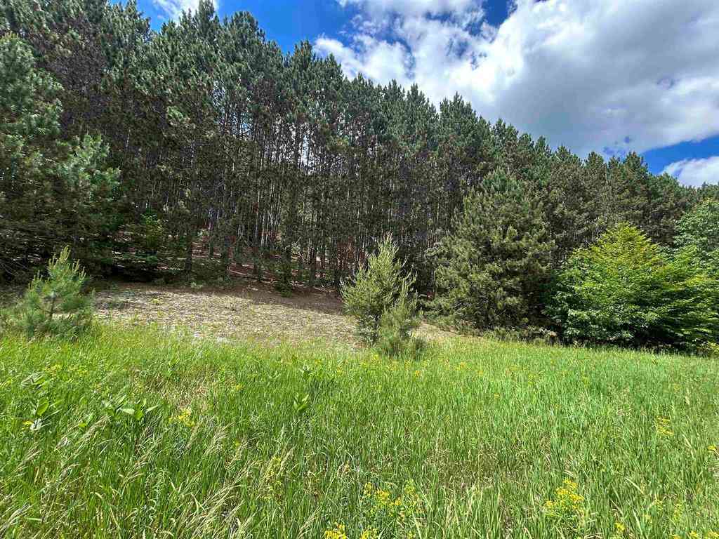 Vacant Land For Sale - PARCEL 6 Wildwood Trail <br/> Mancelona, MI 49659