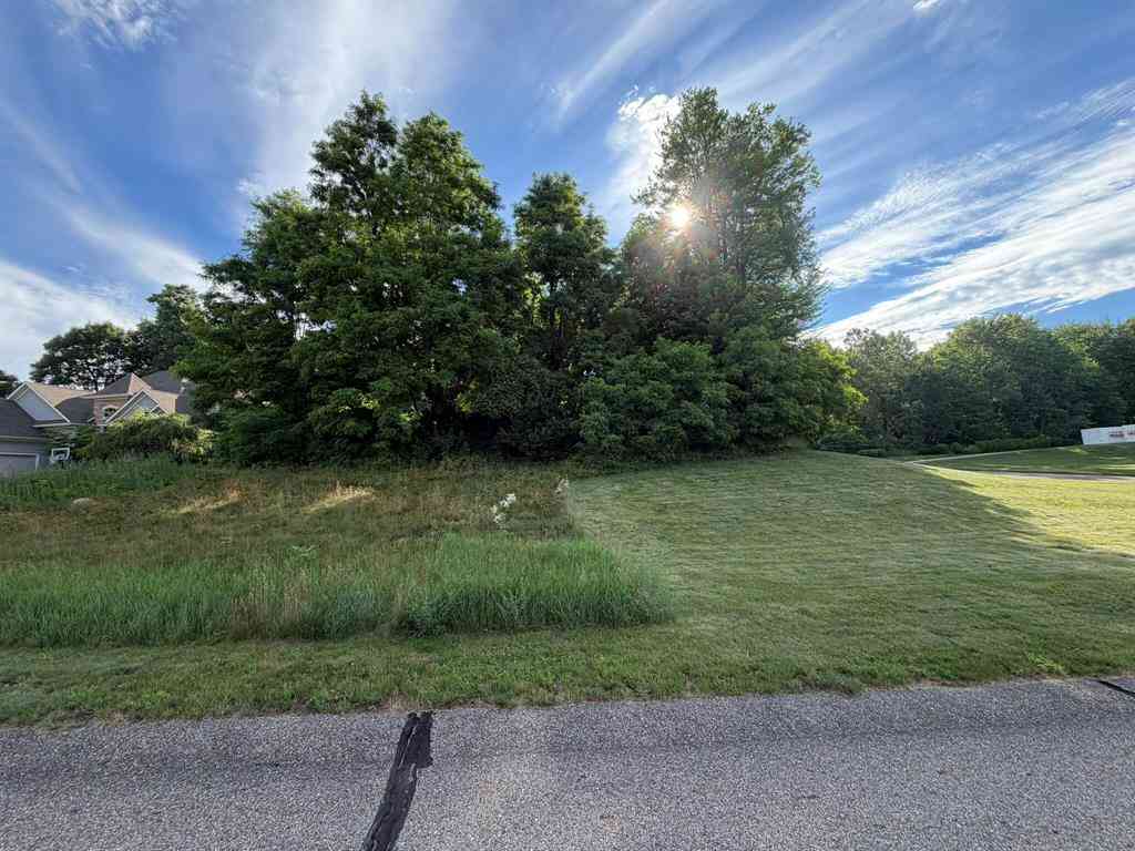 Vacant Land For Sale - 7326 Donald Ross Street <br/> Augusta, MI 49012