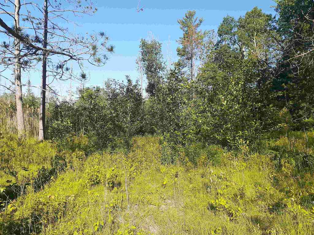 Vacant Land For Sale - 7631 F-41  <br/> Oscoda, MI 48750
