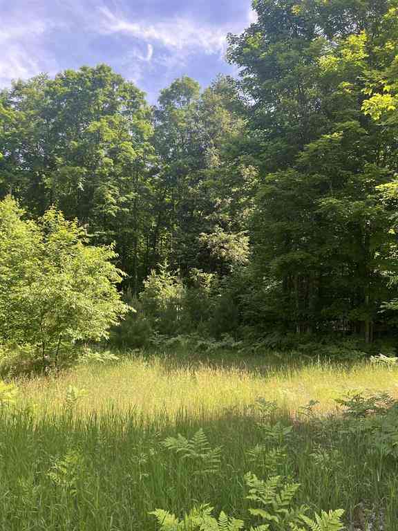 Vacant Land For Sale - PARCEL G O'dell Road <br/> Williamsburg, MI 49690