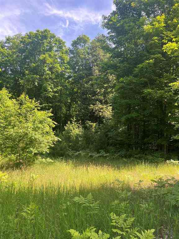 Vacant Land For Sale - PARCEL H O'dell Road <br/> Williamsburg, MI 49690