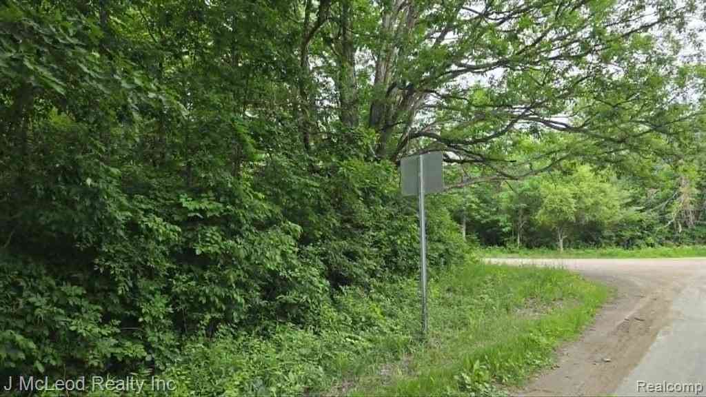 Vacant Land For Sale - VL N Lewis Road <br/> Clio, MI 48420