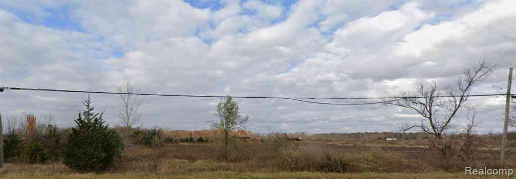 Vacant Land For Sale - 00 Corunna Road <br/> Genesee County, Flint, MI 48532