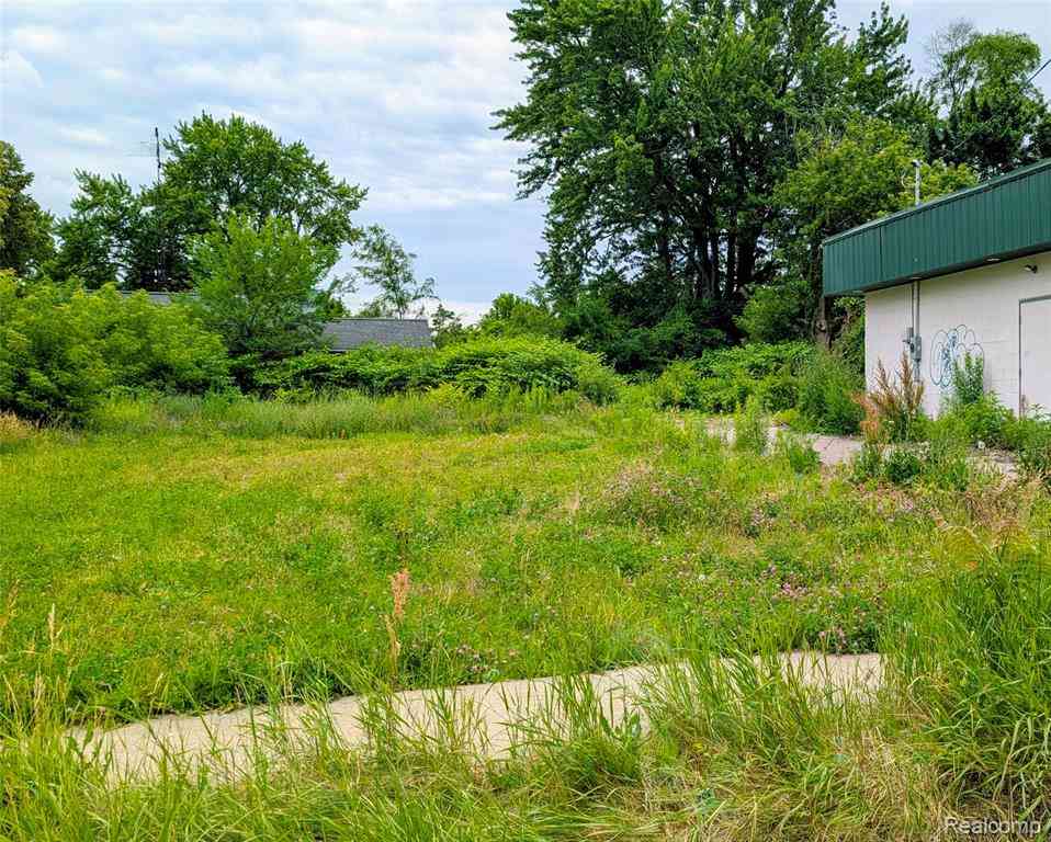 Vacant Land For Sale - 2620 Davison Road <br/> Flint, MI 48506