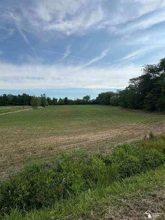 Vacant Land For Sale - Dixon Road <br/> Monroe County, Monroe, MI 48161