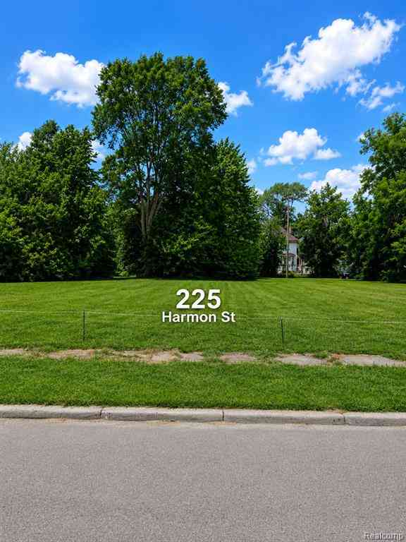 Vacant Land For Sale - 225 Harmon Street <br/> Detroit, MI 48202