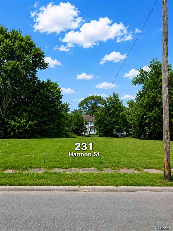 Vacant Land For Sale - 231 Harmon Street <br/> Detroit, MI 48202