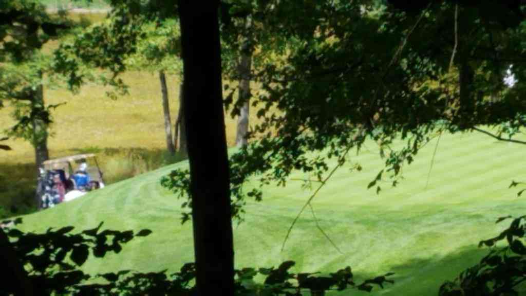 Vacant Land For Sale - 11010 Shawnee Trail <br/> Stanwood, MI 49346