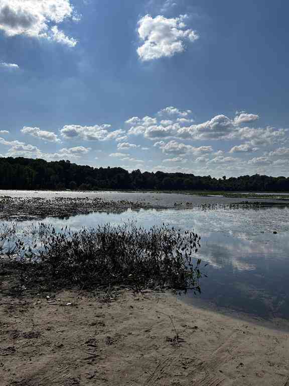 Vacant Land For Sale - 3734 109th Avenue <br/> Allegan County, Allegan, MI 49010