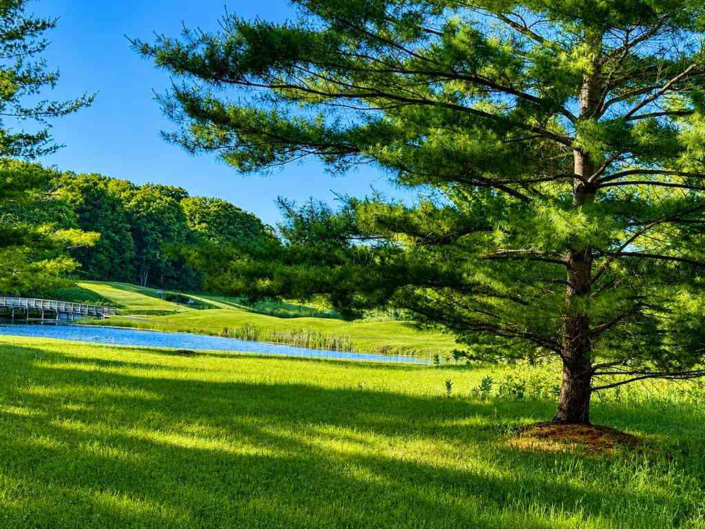 Vacant Land For Sale - 8988 Rambling Way <br/> Canadian Lakes, MI 49346