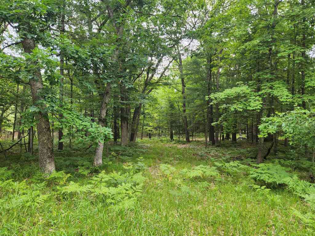 Vacant Land For Sale - VL Rebecca Road <br/> Lake County, Baldwin, MI 49304