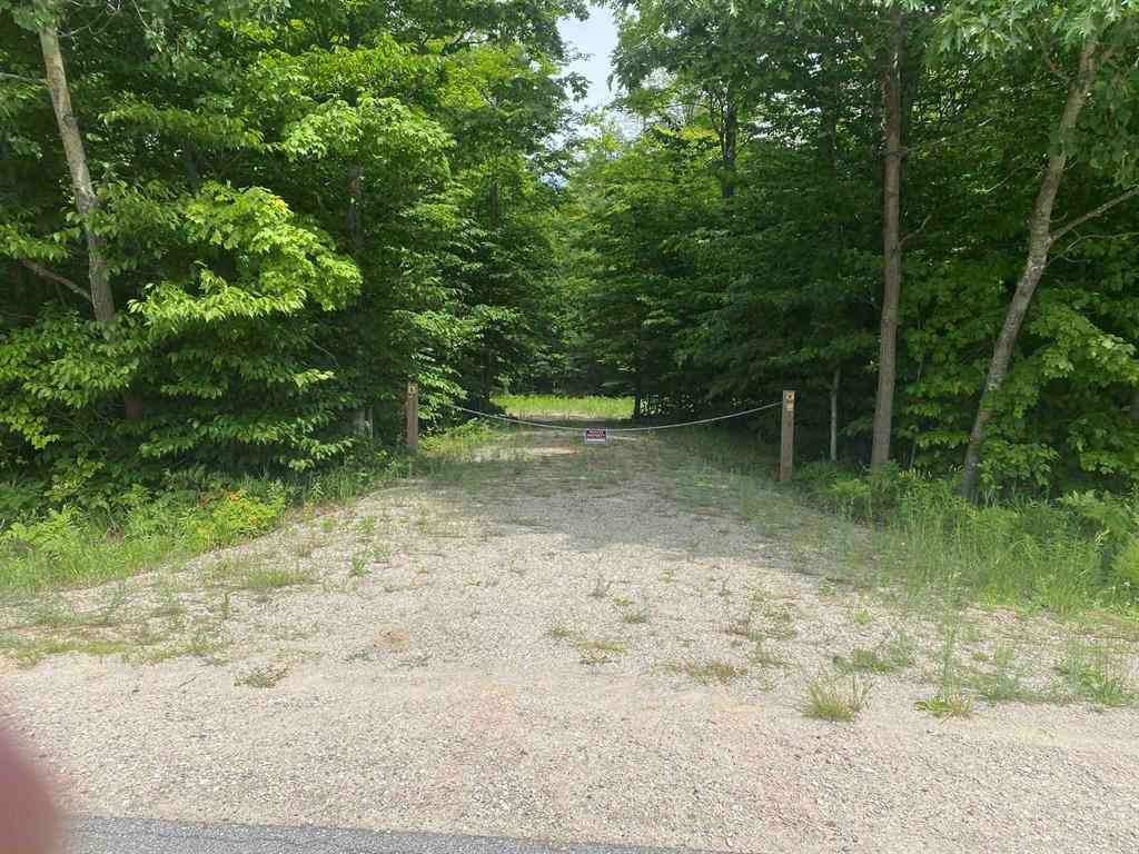 Vacant Land For Sale - Green Briar Road <br/> Benzie County, Lake Ann, MI 49650