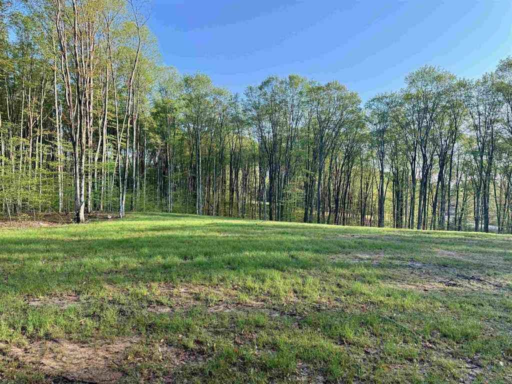 Vacant Land For Sale - 001 S Bright Road <br/> Leelanau County, Maple City, MI 49664