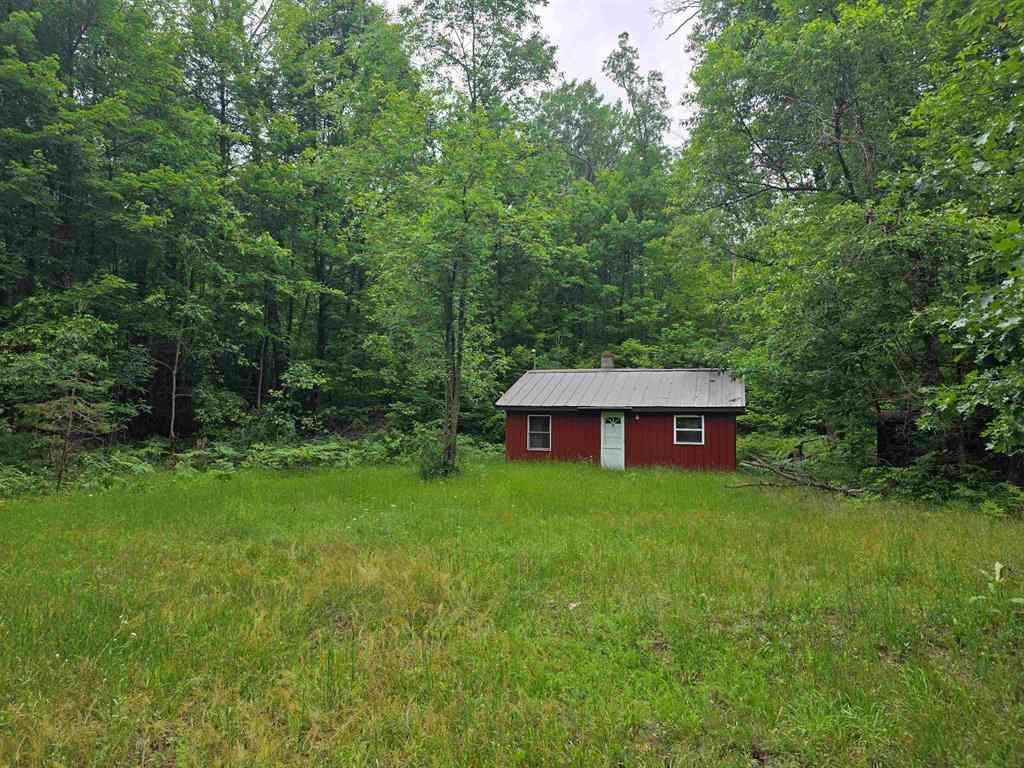 Vacant Land For Sale - 6300 Kerr Trail <br/> Iosco County, Hale, MI 48739
