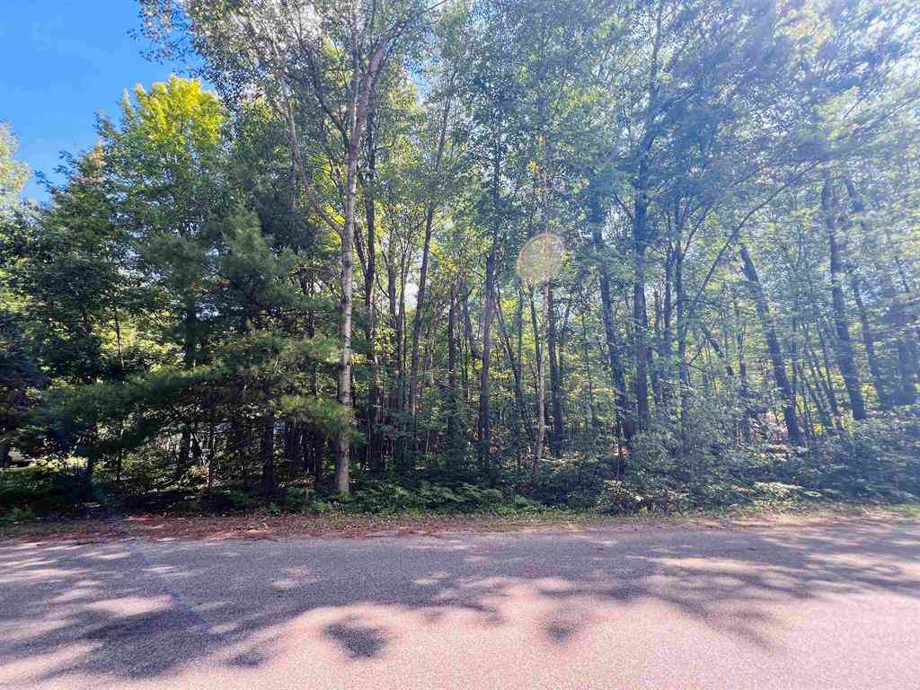 Vacant Land For Sale - LOT 789 Redwine  <br/> Houghton Lake, MI 48653