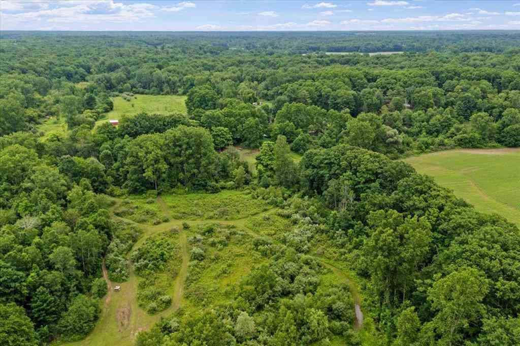 Vacant Land For Sale - 1187 Parks Road <br/> Saint Clair County, Wales, MI 48027