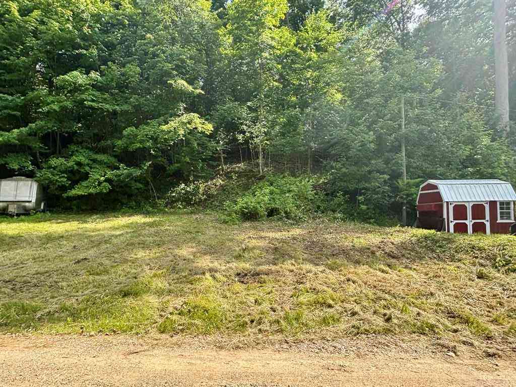 Vacant Land For Sale - Spring Street <br/> Saint Joseph County, Sturgis, MI 49091
