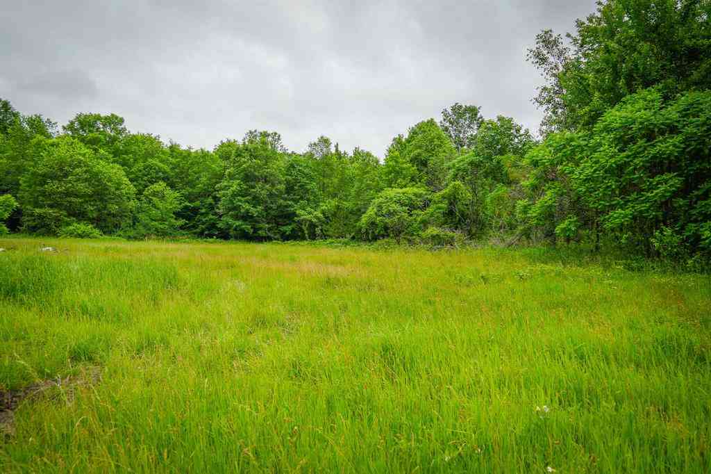 Vacant Land For Sale - 8183 W Lincoln Street <br/> Newaygo County, Bitely, MI 49309