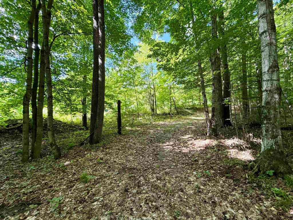 Vacant Land For Sale - 10 Broken Club Drive <br/> Antrim County, Bellaire, MI 49615