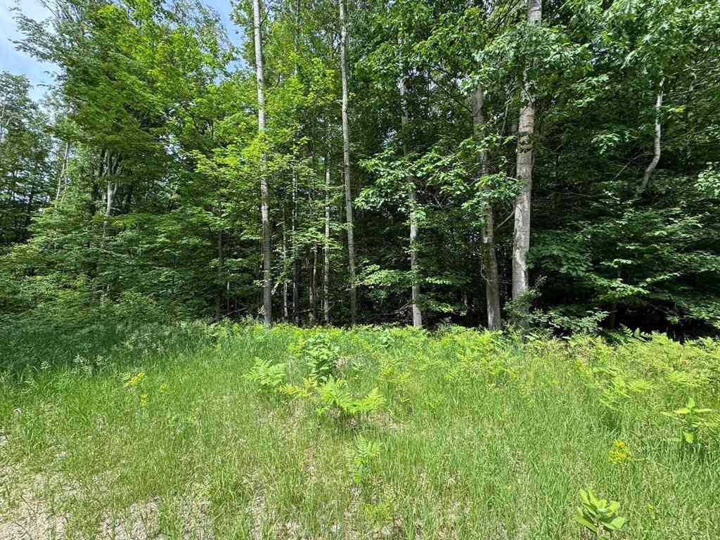 Vacant Land For Sale - Knoll One Drive <br/> Leroy, MI 49655