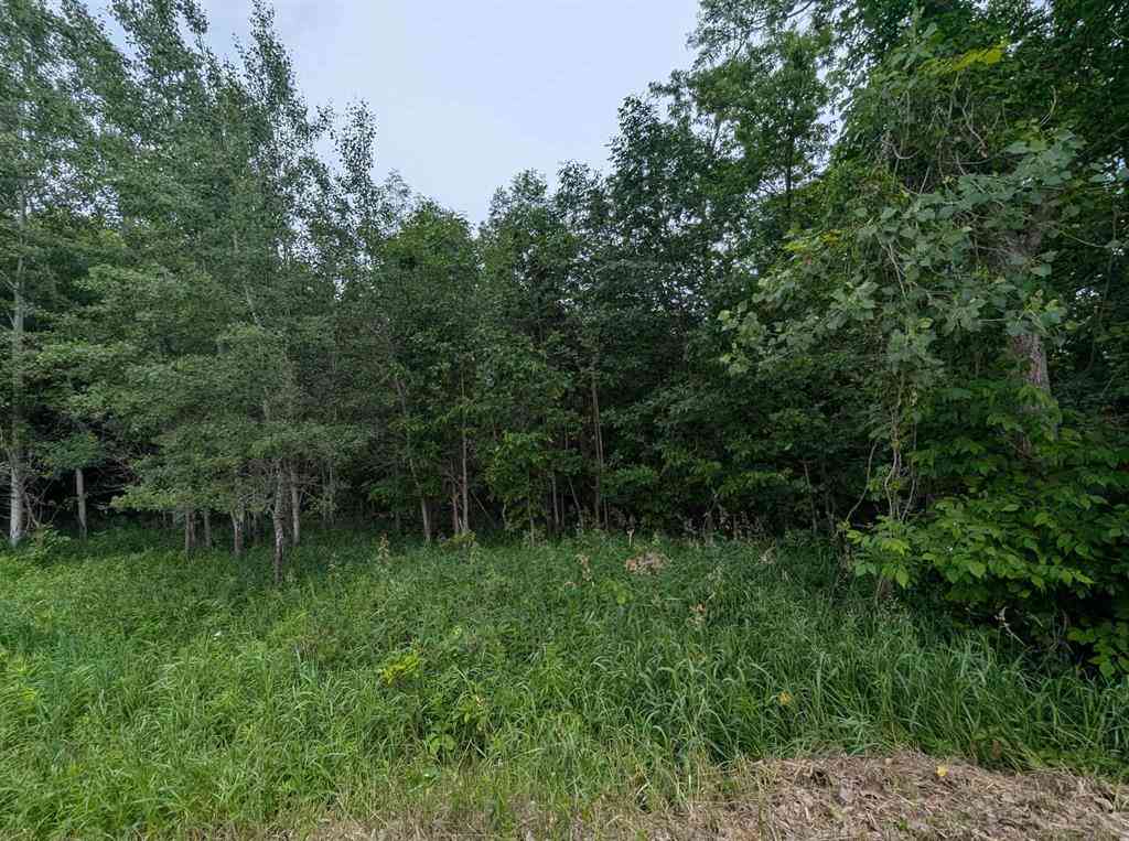 Vacant Land For Sale - N/A Shenfield Road <br/> Turner, MI 48765