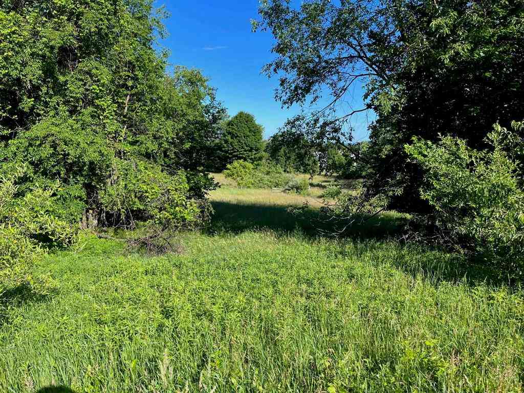 Vacant Land For Sale - S Roen Drive <br/> Leelanau County, Empire, MI 49630