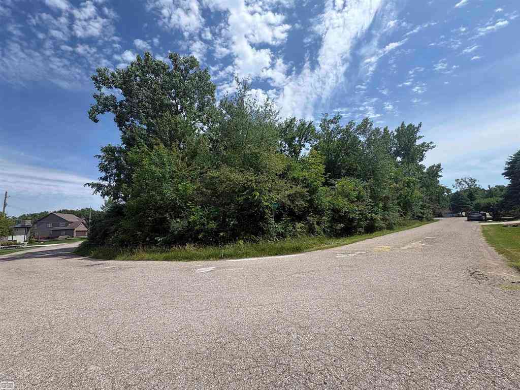 Vacant Land For Sale - V/L N Heron Drive <br/> Lapeer County, Lapeer, MI 48446