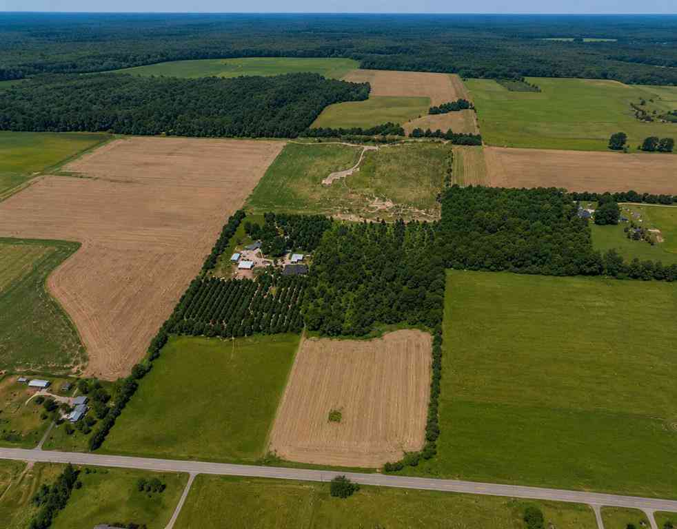 Vacant Land For Sale - Kendaville Road <br/> Montcalm County, Pierson, MI 49339