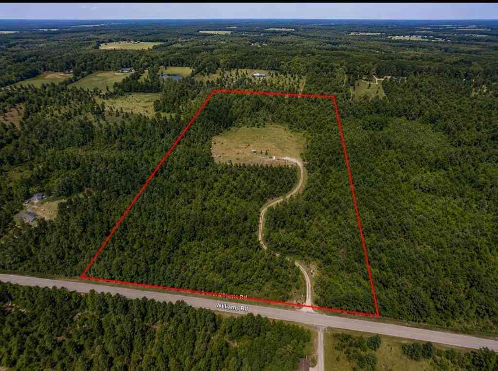 Vacant Land For Sale - 3780 Williams  <br/> Lewiston, MI 49756