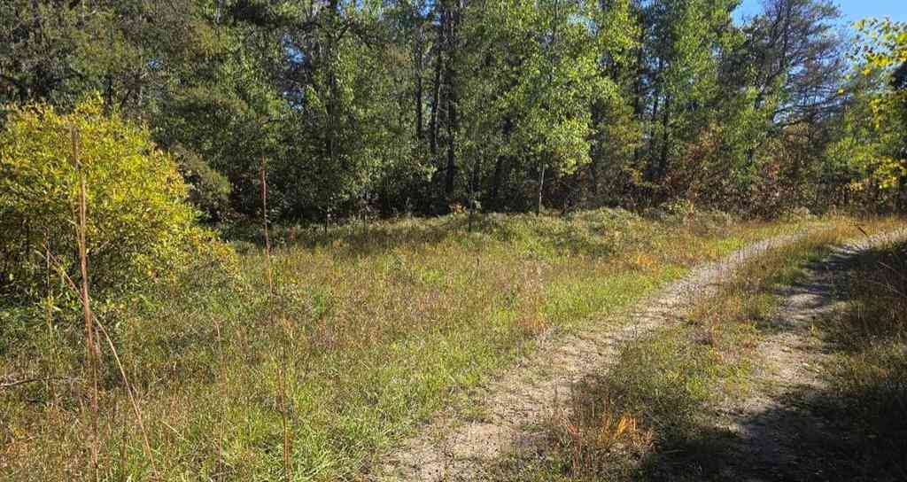 Vacant Land For Sale - 3780 Williams  <br/> Lewiston, MI 49756