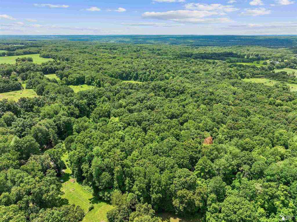 Vacant Land For Sale - VL 24th Street <br/> Plainwell, MI 49080