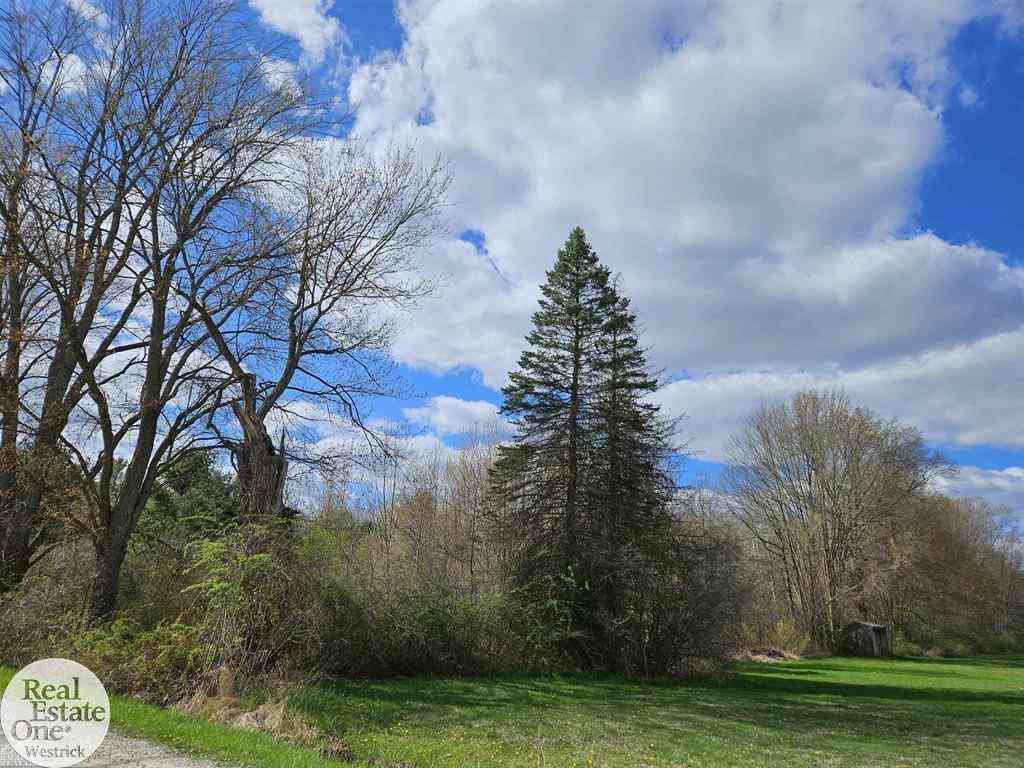 Vacant Land For Sale - Genaw Road <br/> Saint Clair County, Cottrellville, MI 48039