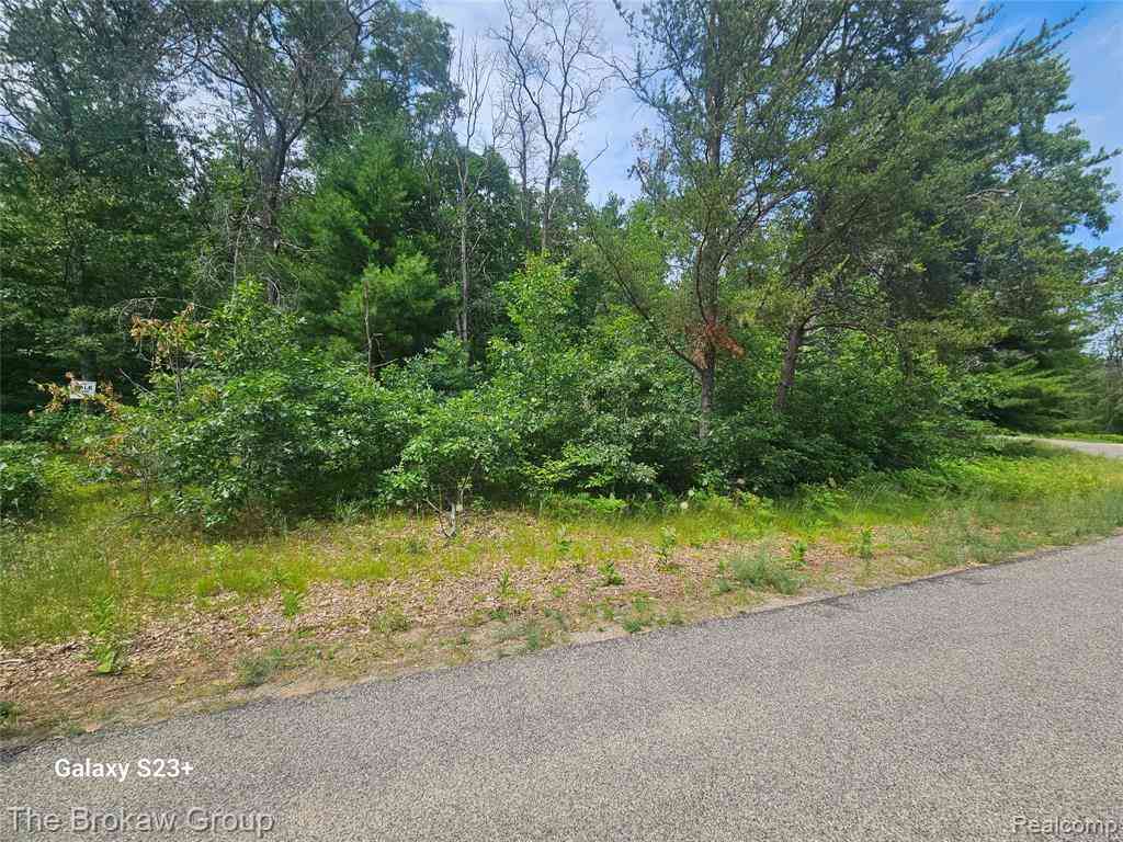 Vacant Land For Sale - Acorn Lane <br/> Houghton Lake, MI 48629